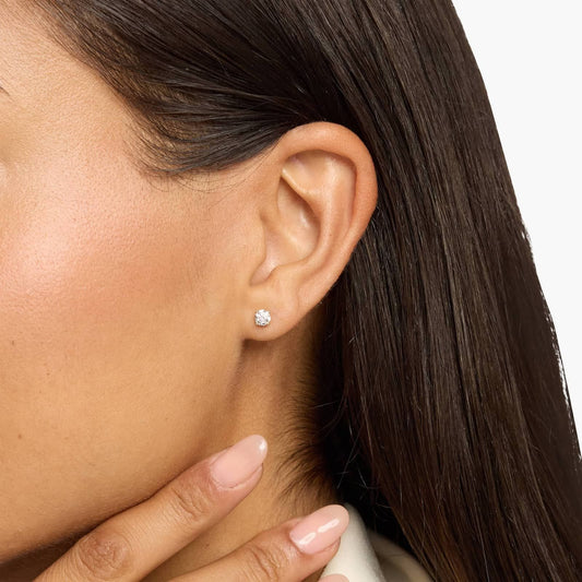 Classic Round Diamond Stud Earrings in Gold